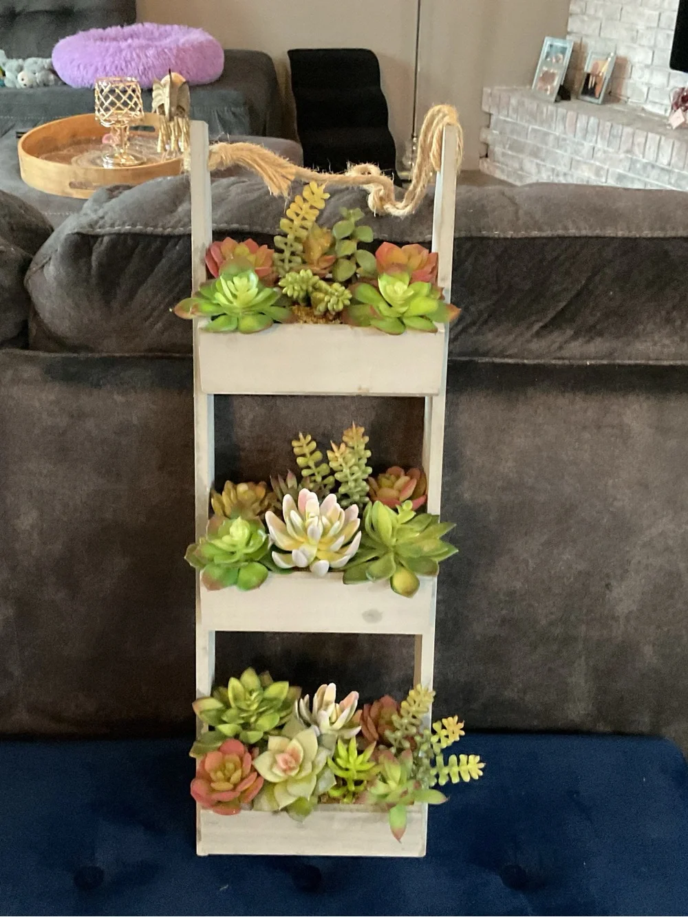 Rustic Hanging Ladder Planter with Green Succulents